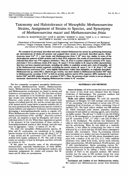 Methanosarcina mazei - International Journal of Systematic and