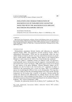 isolation and characterization of macronuclei of paramecium