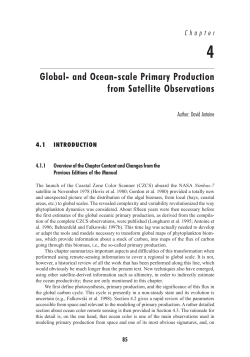 and Ocean-scale Primary Production from Satellite Observations