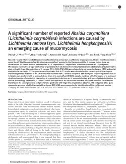 Lichtheimia corymbifera