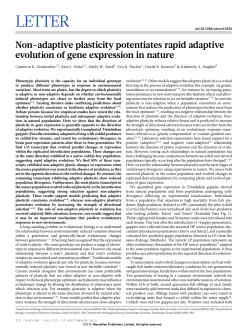 Non-adaptive plasticity potentiates rapid adaptive evolution