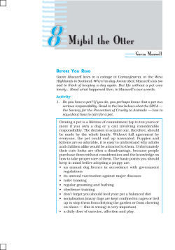 Chapter 8