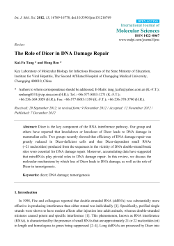 The Role of Dicer in DNA Damage Repair
