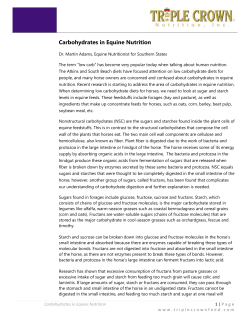 Carbohydrates in Equine Nutrition