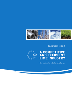 a competitive and efficient lime industry