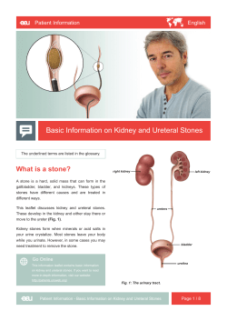 - EAU Patient Information