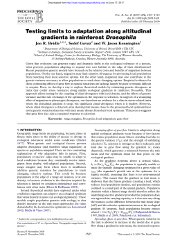 Testing limits to adaptation along altitudinal gradients in rainforest