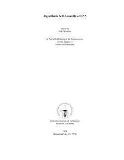 thesis, 2.6 MB - DNA and Natural Algorithms Group