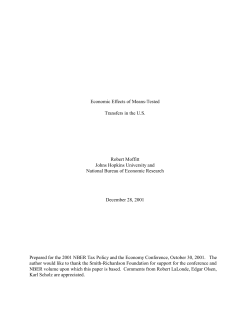 Economic Effects of Means-Tested Transfers in