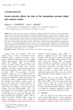 Sexual selection affects the sizes of the mammalian prostate gland