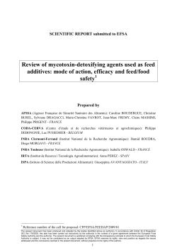 Review of mycotoxin-detoxifying agents used as feed additives