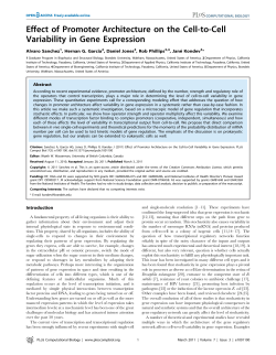 Effect of Promoter Architecture on the Cell-to
