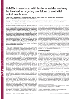 Rab27b is associated with fusiform vesicles and