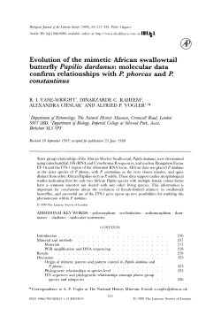 Evolution of the mimetic African swallowtail butterfly Papilio