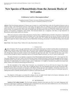 New Species of Bennettitales from the Jurassic Rocks of Sri Lanka