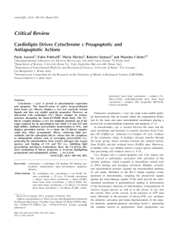 Cardiolipin drives cytochrome c proapoptotic and antiapoptotic actions