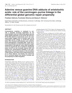 Adenine versus guanine DNA adducts of aristolochic acids: role of