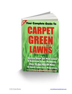 feeding the lawn - Killarney Garden Centre
