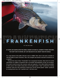 BY MIXING AND MANIPULATING FISH GENES, HUMANS CAN