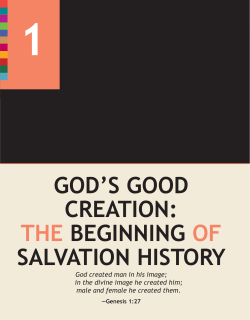 god`s good creation