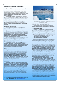 Antarctica`s smallest inhabitants - Gateway Antarctica