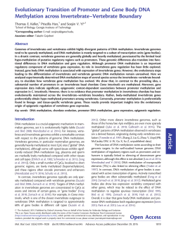 Evolutionary Transition of Promoter and Gene Body DNA