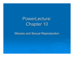 PowerLecture: Chapter 10