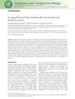 Foraging Behavior Delays Mechanically