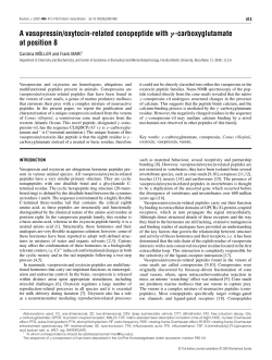A vasopressin/oxytocin-related conopeptide with &gamma;