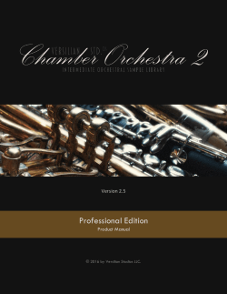 Professional Edition