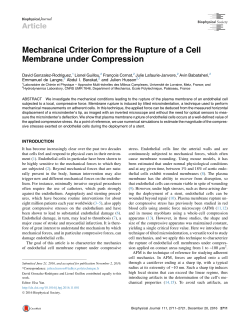 Mechanical Criterion for the Rupture of a Cell Membrane under