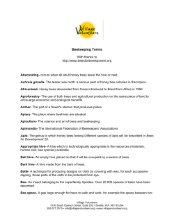 Beekeeping Terms - Village Volunteers