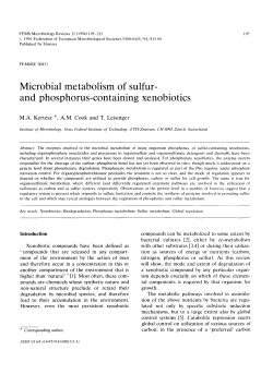 Microbial metabolism of sulfurand phosphorus