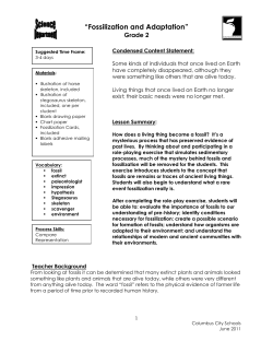 Fossilization and Adaptation