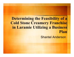 Determining the Feasibility of a Cold Stone Creamery Franchise in