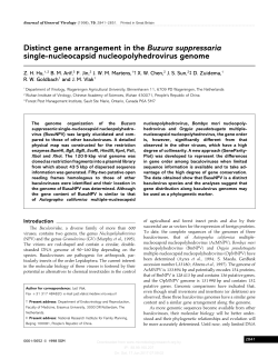 Distinct gene arrangement in the Buzura suppressaria single