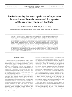 Full text in pdf format