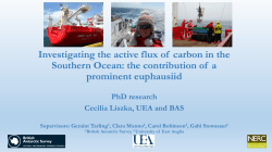 Investigating the active flux of carbon in the Southern Ocean