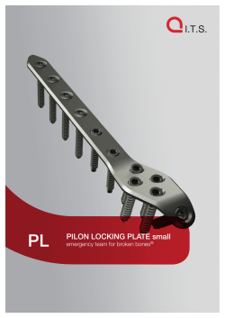 PL PILON LOCKING PLATE small