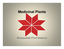 Medicinal Plants