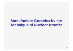 Manufacture Gametes by the Technique of Nuclear Transfer