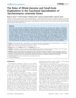Saccharomyces cerevisiae Genes