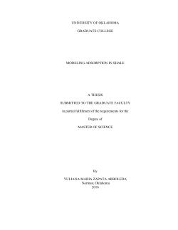 Master`s Thesis Template