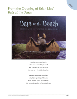 Bats &ndash; Poem for Activity and Examples