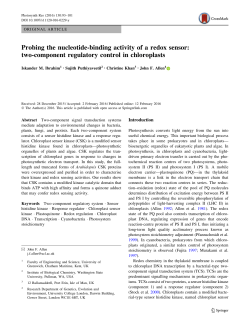 Probing the nucleotide-binding activity of a redox sensor: two