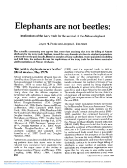 Elephant are not beetles - Cambridge University Press
