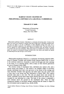 HABITAT USE BY COLONIES OF Deborah R . R. Smith