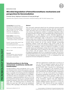 Microbial degradation of tetrachloromethane: mechanisms and