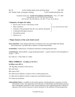 Precambrian and Paleozoic