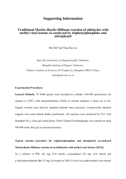 Supporting Information